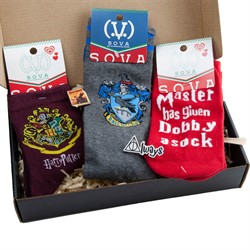Подарочный набор носочков Harry Potter (570-200-04-1), содержимое коробки Подарочный набор носочков Harry Potter (570-200-04-1), содержимое коробки