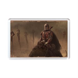 Магнит оптом - фото 9818